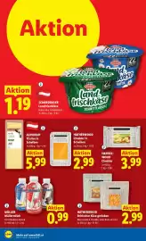 Lidl Flugblatt woche 10 Seite 49