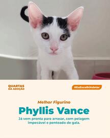 Catálogo Cobasi Página 4