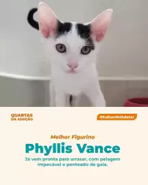 Catálogo Cobasi Página 4