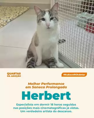 Catálogo Cobasi (válido até 15-03)