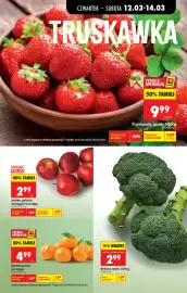 Biedronka gazetka tydzień 11 Strona 27