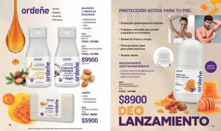 Catálogo Arbell Página 24