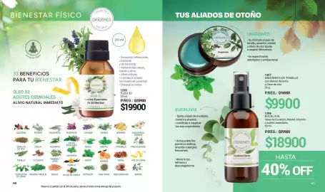 Catálogo Arbell Página 31