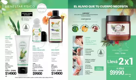 Catálogo Arbell Página 32