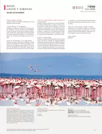 Catálogo Catai Página 35