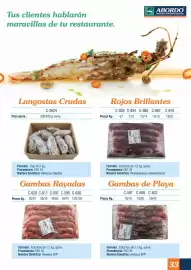 Folleto Abordo Página 33