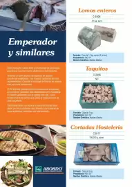 Folleto Abordo Página 4