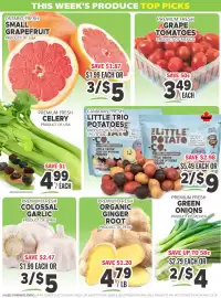 Foodsmiths flyer Page 2