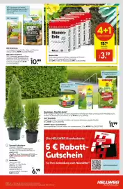 Hellweg Prospekt woche 11 Seite 15