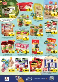 Nesto catalogue Page 13