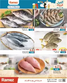 Ramez catalogue Page 3