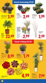 Lidl folder week 12 Pagina 18