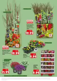 Kaufland gazetka tydzień 11 Strona 13