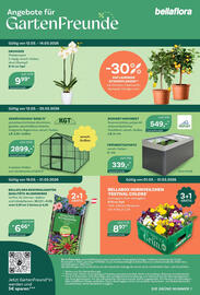 Bellaflora Flugblatt Seite 8