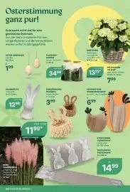 Bellaflora Flugblatt Seite 2