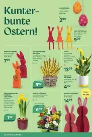 Bellaflora Flugblatt Seite 4