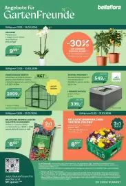 Bellaflora Flugblatt Seite 8