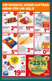 Billa Flugblatt woche 11 Seite 16