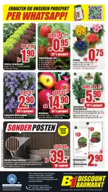 B1 Discount Baumarkt Prospekt woche 11 Seite 12