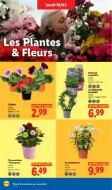 Catalogue Lidl semaine 12 page 26