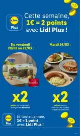 Catalogue Lidl semaine 12 page 29