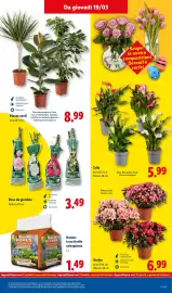 Volantino Lidl settimana 12 Pagina 45