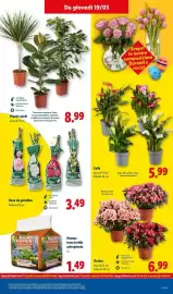 Volantino Lidl settimana 12 Pagina 45