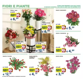 Volantino Esselunga | Speciale Casa Pagina 6