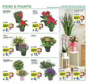 Volantino Esselunga | Speciale Casa Pagina 7