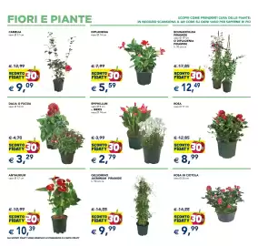 Volantino Esselunga | Speciale Casa Pagina 8