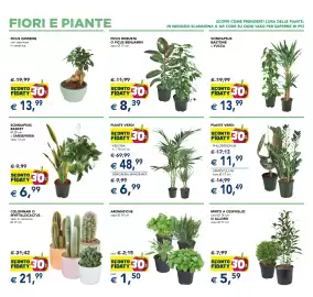 Volantino Esselunga | Speciale Casa Pagina 9