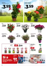 Volantino Bennet Pagina 24