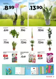 Volantino Bennet Pagina 25