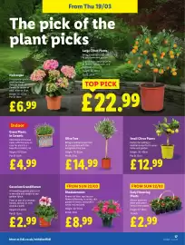 Lidl leaflet week 12 Page 19