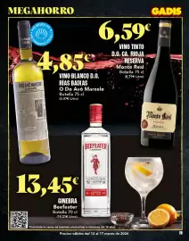 Folleto Gadis semana 11 Página 19