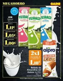 Folleto Gadis semana 11 Página 9