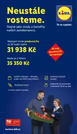 Lidl leták týden 12 Strana 31