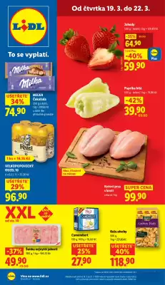Lidl leták (platné do 22-03)