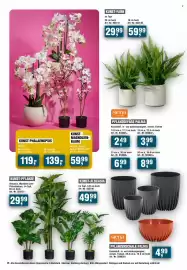 Handelshof Prospekt Seite 26