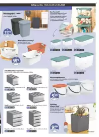 V Markt Prospekt woche 12 Seite 17