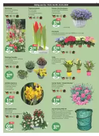 V Markt Prospekt woche 12 Seite 18