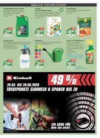 V Markt Prospekt woche 12 Seite 19