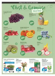 V Markt Prospekt woche 12 Seite 4