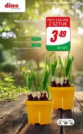 Dino gazetka tydzień 11 Strona 2