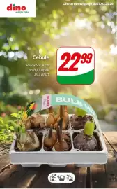 Dino gazetka tydzień 11 Strona 3