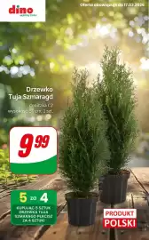 Dino gazetka tydzień 11 Strona 4
