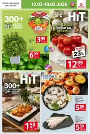 Selgros gazetka tydzień 11 Strona 2