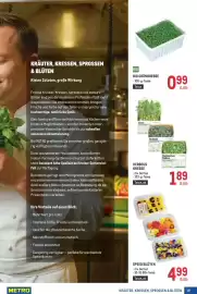 Metro Flugblatt Seite 19