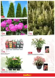 Baumax leták Strana 2