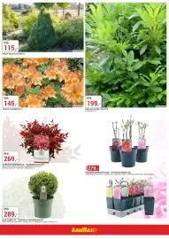 Baumax leták Strana 3